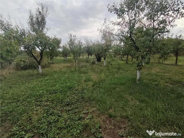 RECO Casa din caramida in Suplacul de Barcau - 16