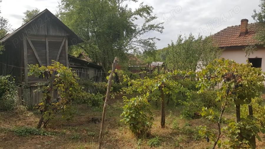 Casă cu 5 camere cu Teren 3200 Mp în Stângăceaua