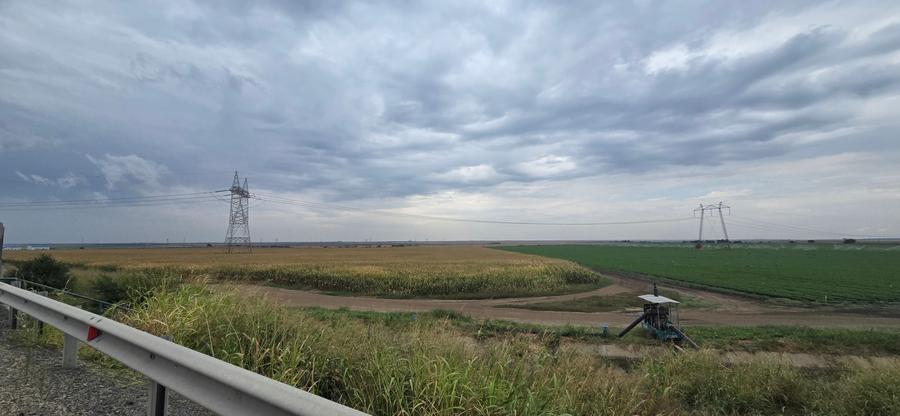 Teren agricol extravilan de 18642 mp, în Exterior Sud