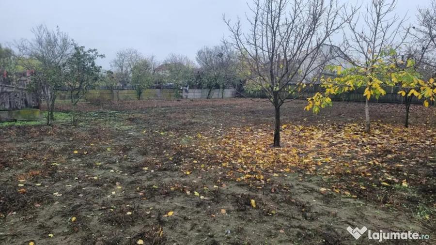 Casă cu 12 camere cu Teren 1300 Mp în Brestei