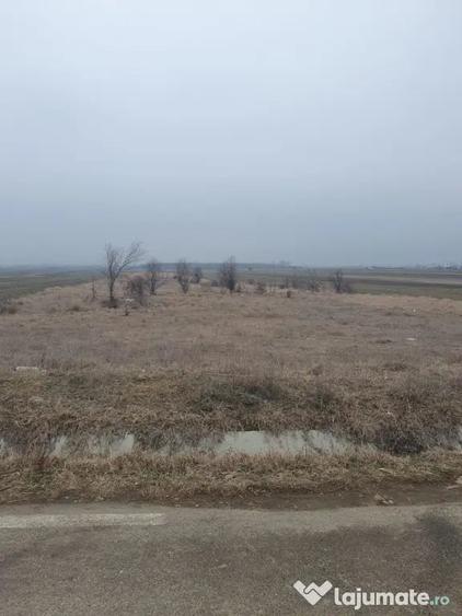 Teren de 8434 mp, în Zlătărei