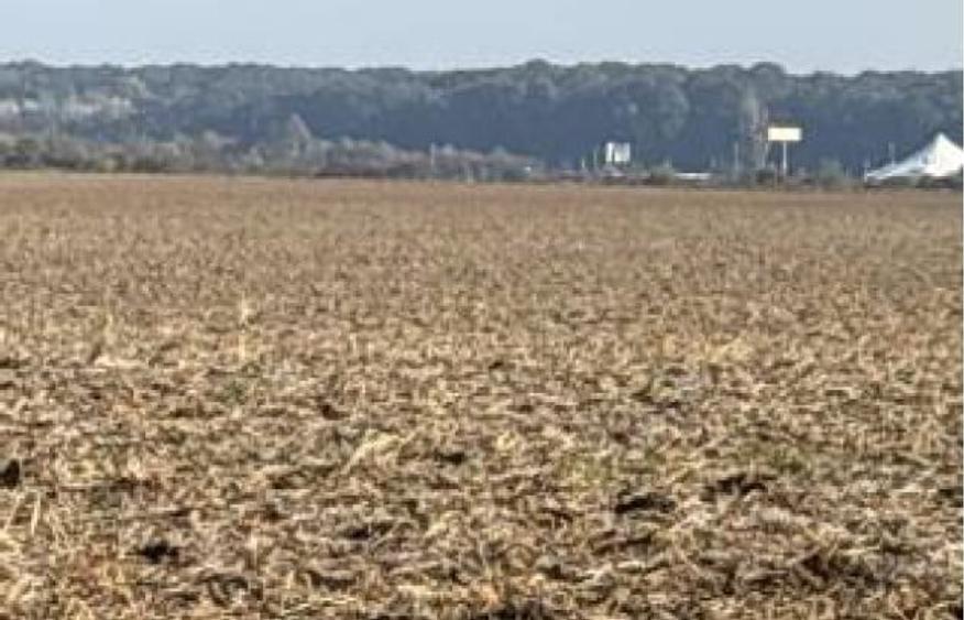 Teren agricol extravilan de 2500 mp, în Ciolpani