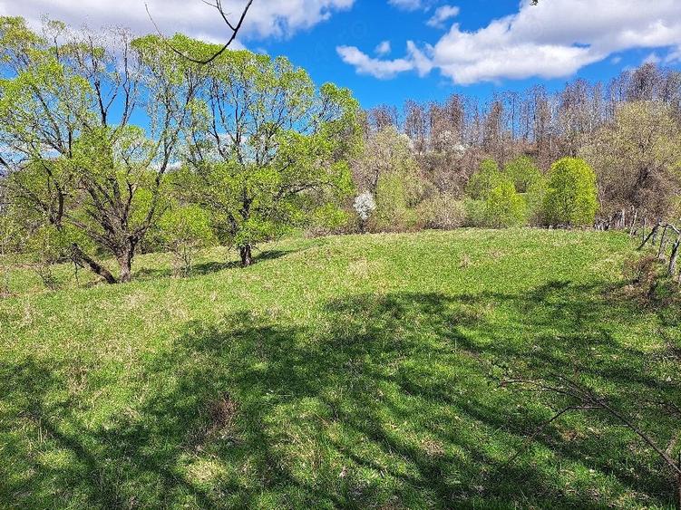 Teren de 3600 mp, în Central