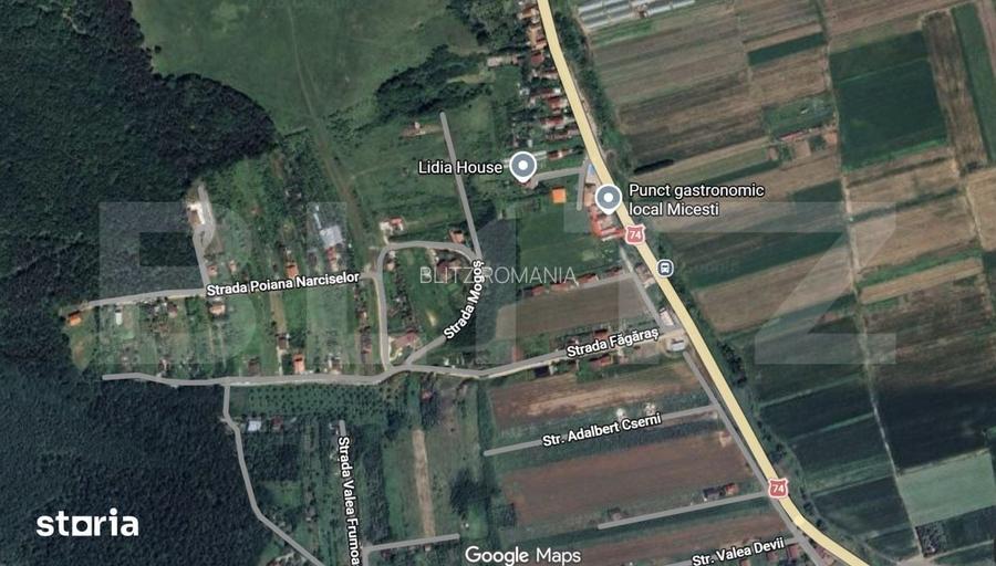 Teren intravilan ,4200mp, Micesti.