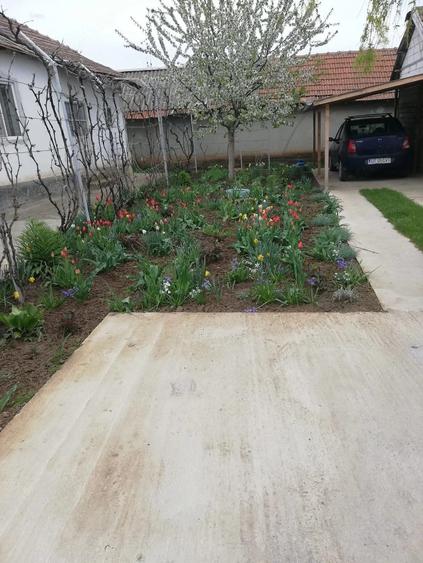 Casă cu Teren 3800 Mp în Redea