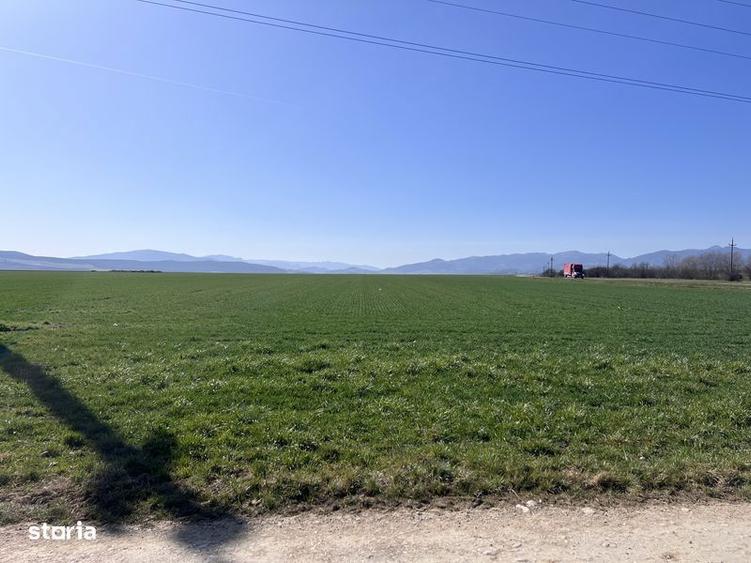 Teren de 2900 mp, în Galda de Jos