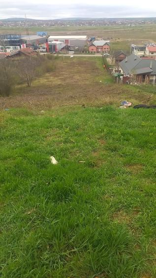 Teren de 7800 mp, în Tomești