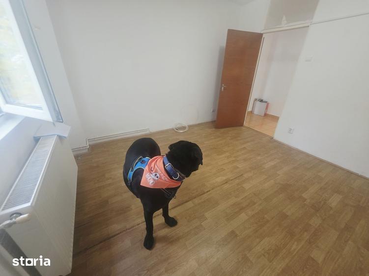 Apartament cu 2 camere decomandat în Tractorul
