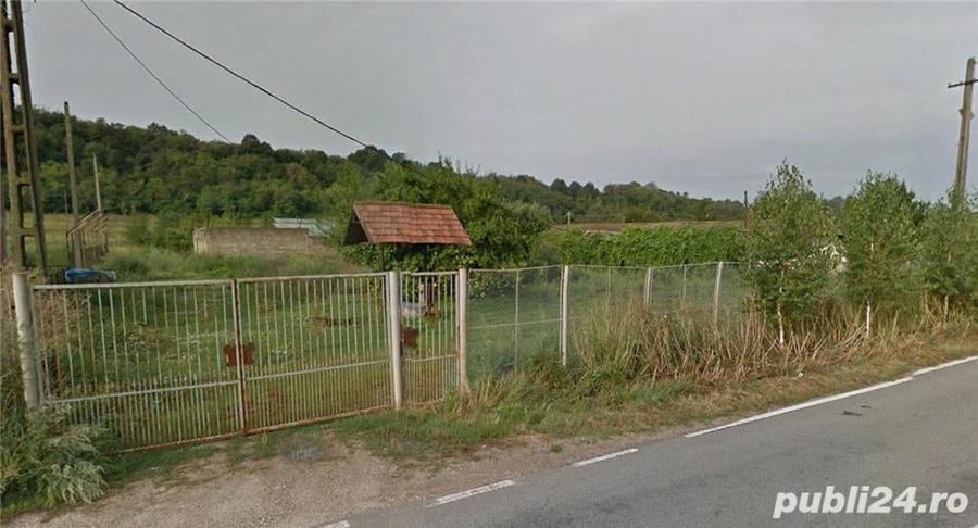 Teren de 5000 mp, în Batoți