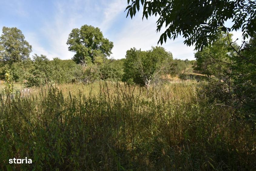 Casă cu 3 camere cu Teren 1500 Mp în Sava