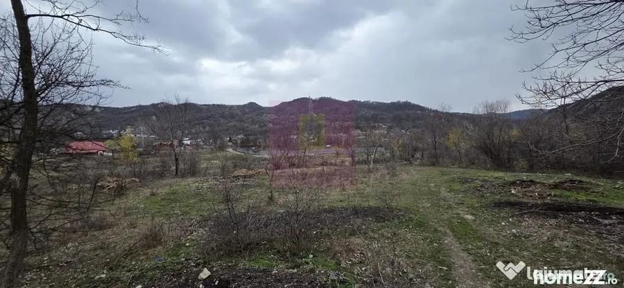 Teren de vanzare in Brebu - Raul Doftana - 7
