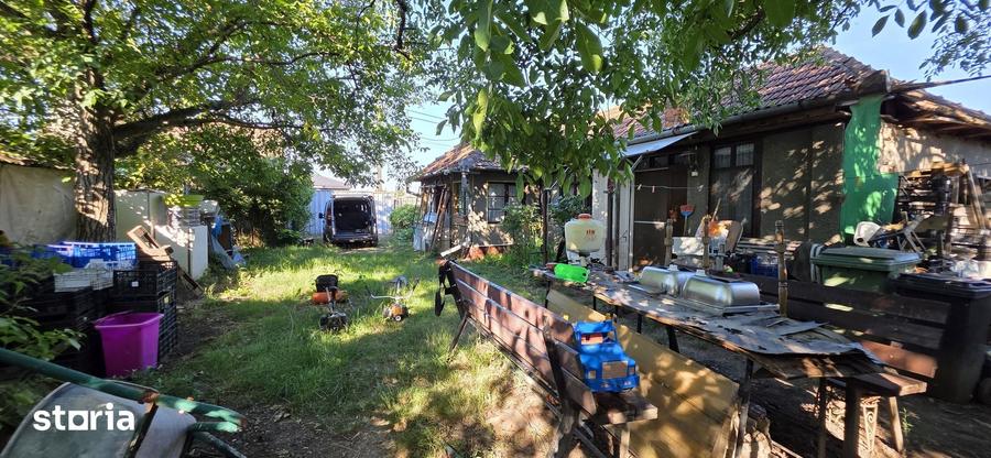 Casă cu 3 camere cu Teren 1500 Mp în Sălard