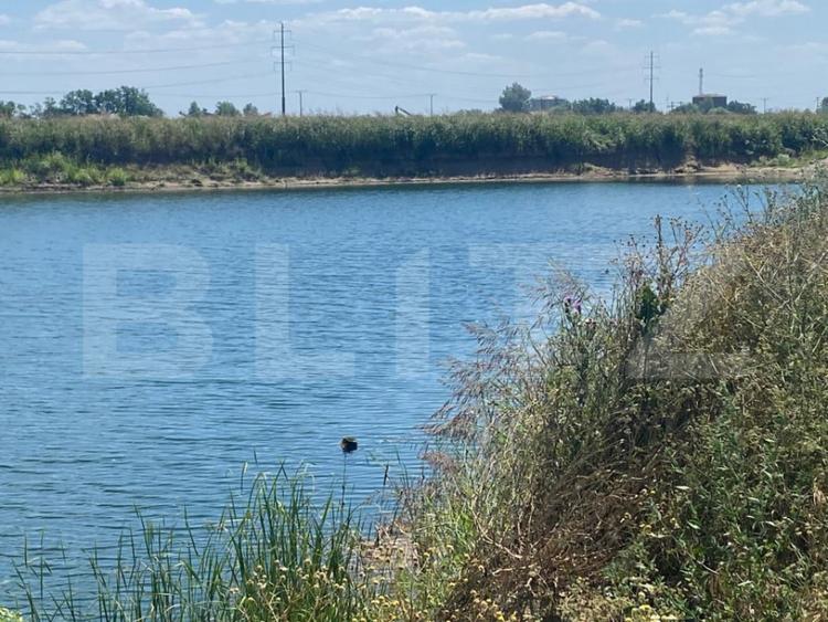 Teren intravilan 4,76 ha cu 2 bal?i de pescuit | Pitaru | - 4
