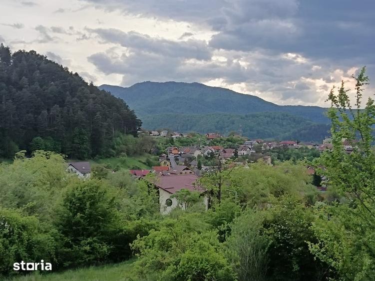 Teren de 850 mp, în Turcheș