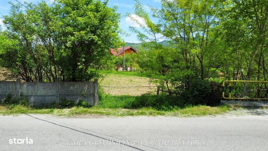 Spațiu comercial, în Păușești