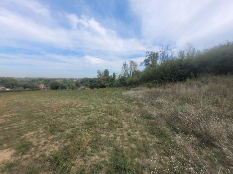 Teren agricol intravilan de 3167 mp, în Cosâmbești