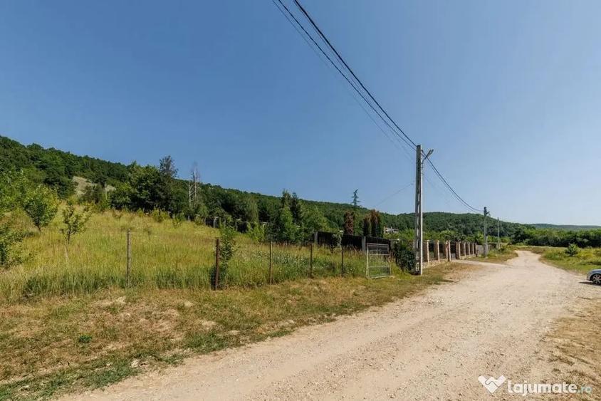 Teren intravilan ?tefane?ti Valea Mare Podgoria - 2