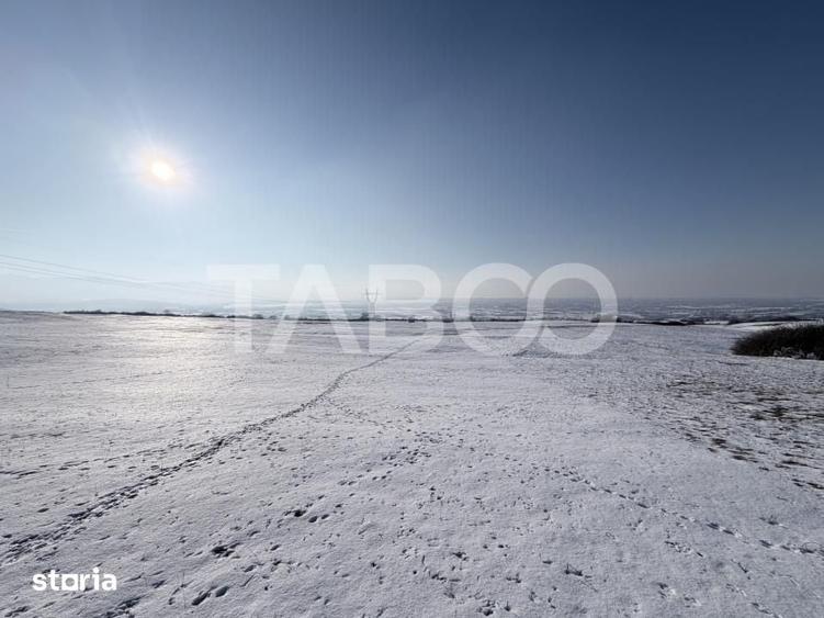 Teren de 40300 mp, în Roșia