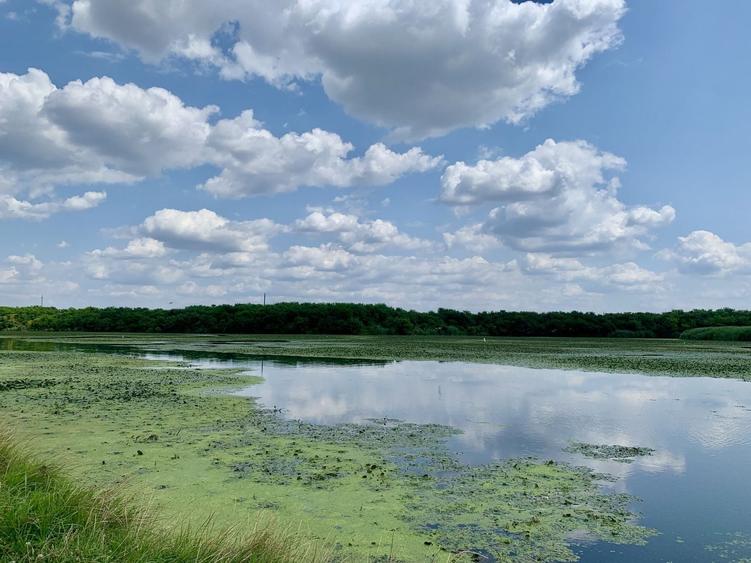 Teren agricol intravilan de 45000 mp, în Crevedia