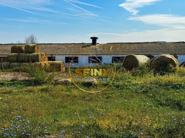 Spațiu industrial, de 62,000 mp, în Chiselet