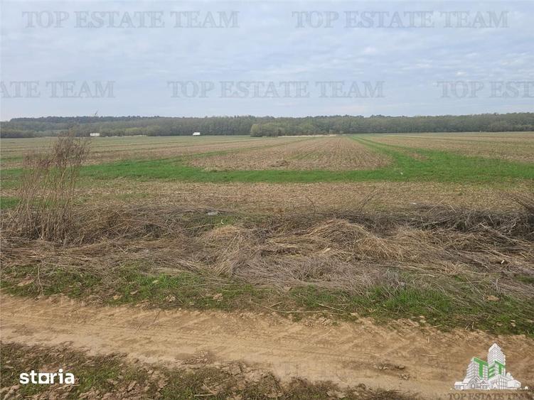 Teren de 7500 mp, în Dragomirești-Vale