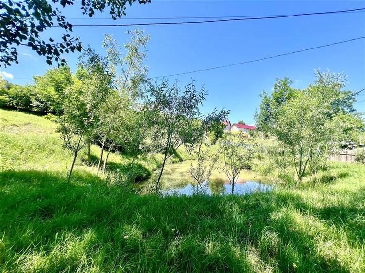 Casă individuală cu 2 camere cu Teren 1000 Mp în Probota