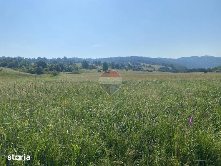 Teren de 4306 mp, în Vama Buzăului