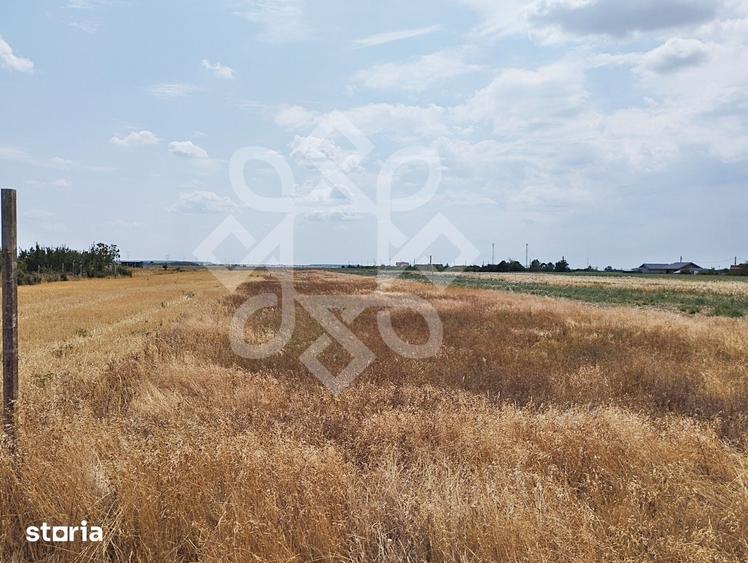 Teren intravilan de vanzare, 3000 mp in Gepiu, Bihor - 2