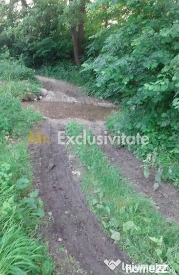 Teren de 12421 mp, în Central