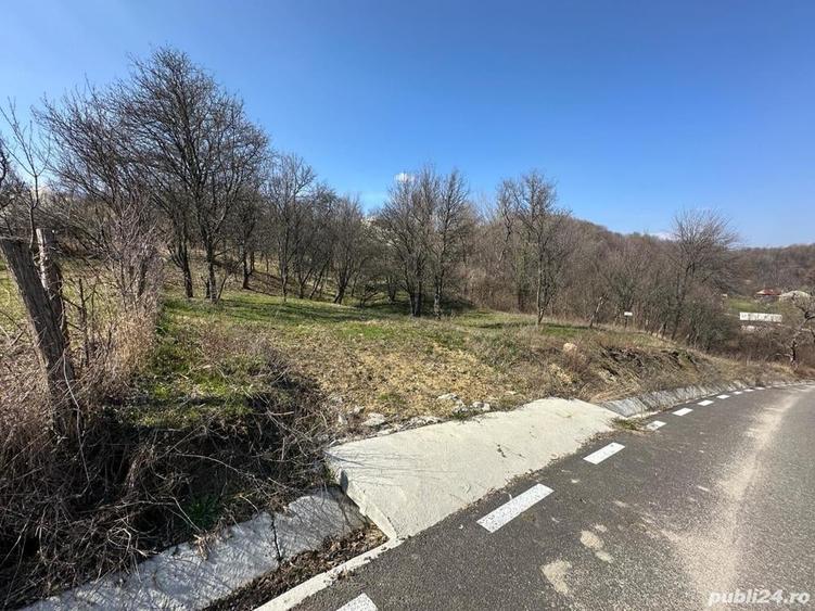 Teren de 828 mp, în Curăturile