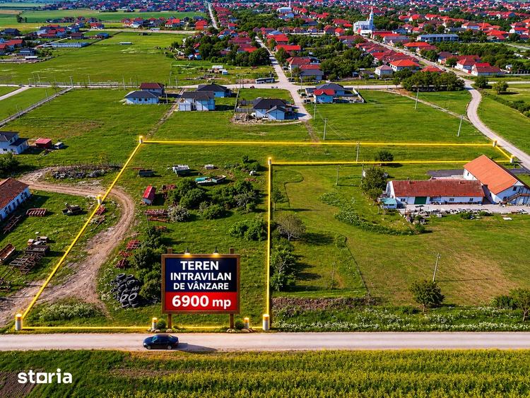 Teren de 6900 mp, în Livada