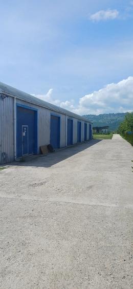 Spațiu comercial, de 480 mp, în Dumbrava