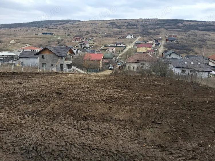 Teren de 1350 mp, în Dorobanț