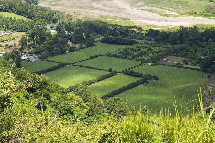 Teren de 5000 mp, în Denta