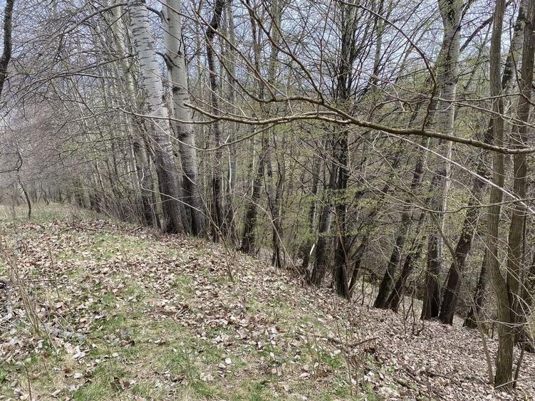 Teren de 22000 mp, în Corbi