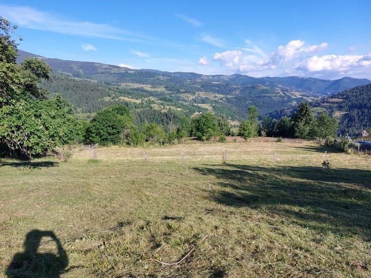 Teren de 5353 mp, în Horea