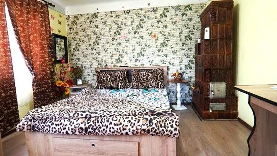 Casă cu 3 camere cu Teren 800 Mp în Teiș