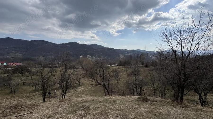 Teren în Micloșanii Mici