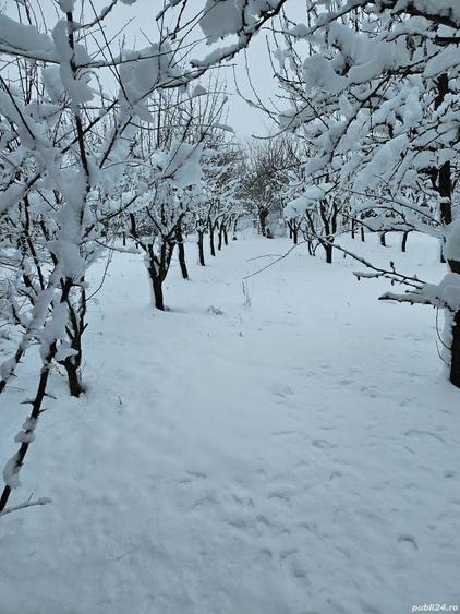 Teren de 11860 mp, în Călugăreni