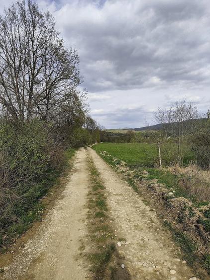 Teren de 823 mp, în Șinca