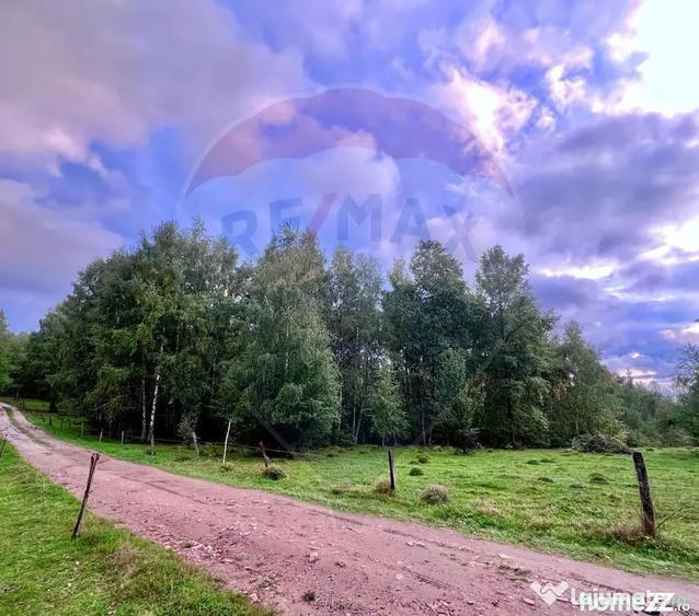 Teren de 7350 mp, în Bulz