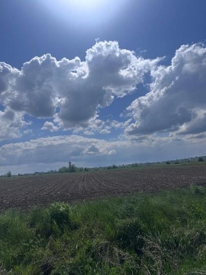 Teren Construcții extravilan de 7800 mp, în Exterior Nord