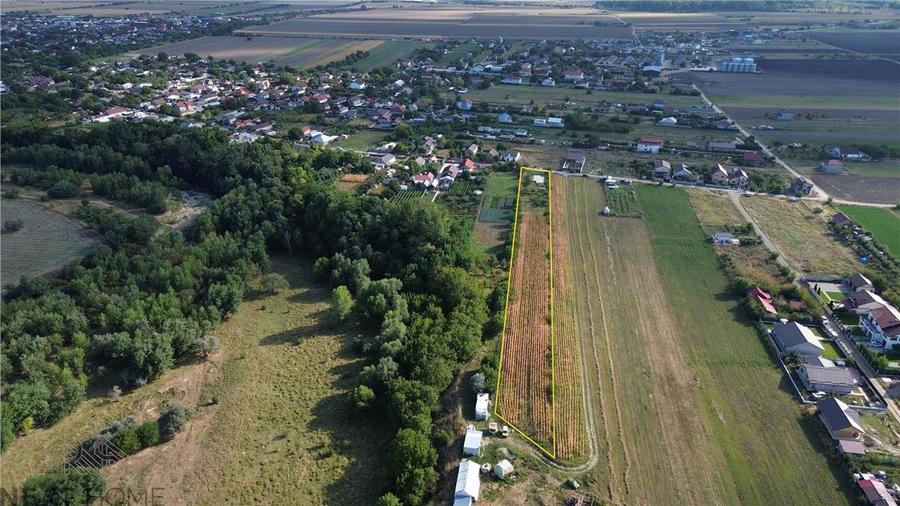 Teren intravilan de 4957 mp, în Golești
