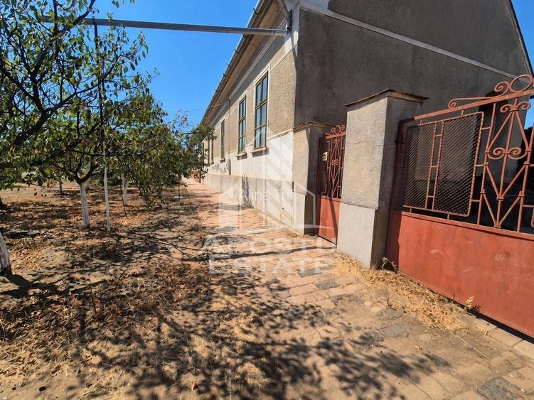 Doua case de vanzare cu 2533 mp teren, localitatea Pesac, Timis