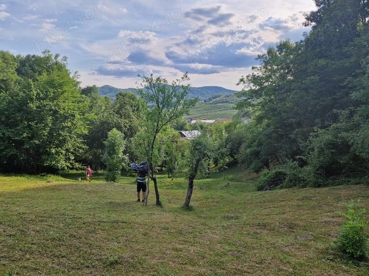 Teren de 20000 mp, în Central