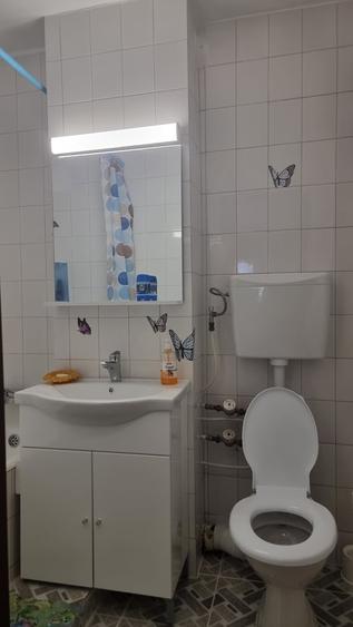Apartament decomandat în Camil Ressu