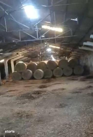 Teren de 60532 mp, în Giulvăz