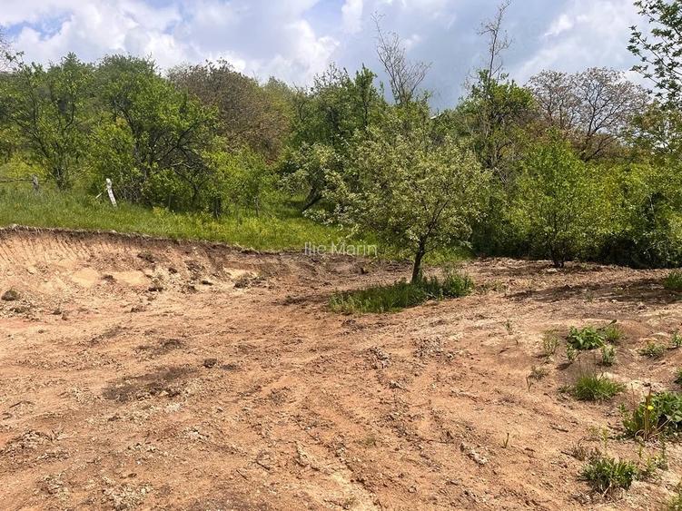 teren intravilan de vanzare