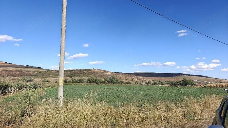 Teren de 7000 mp, în Vale