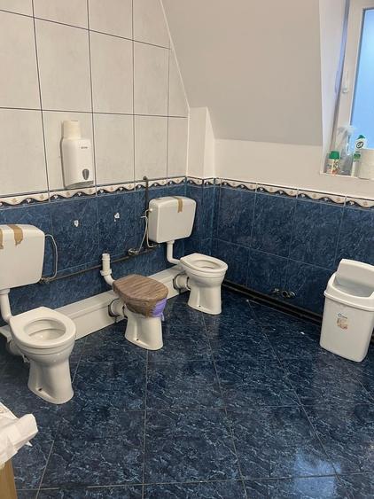 Casă individuală cu 8 camere cu Canalizare în Torontalului